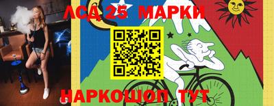 2c-b Кингисепп