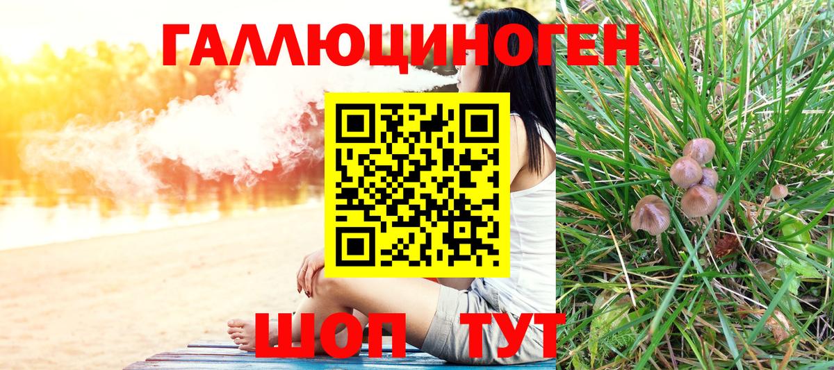 Ивантеевка  Псилоцибиновые грибы прущие грибы  Вход с VPN  Галлюциногенные грибы Magic Shrooms 