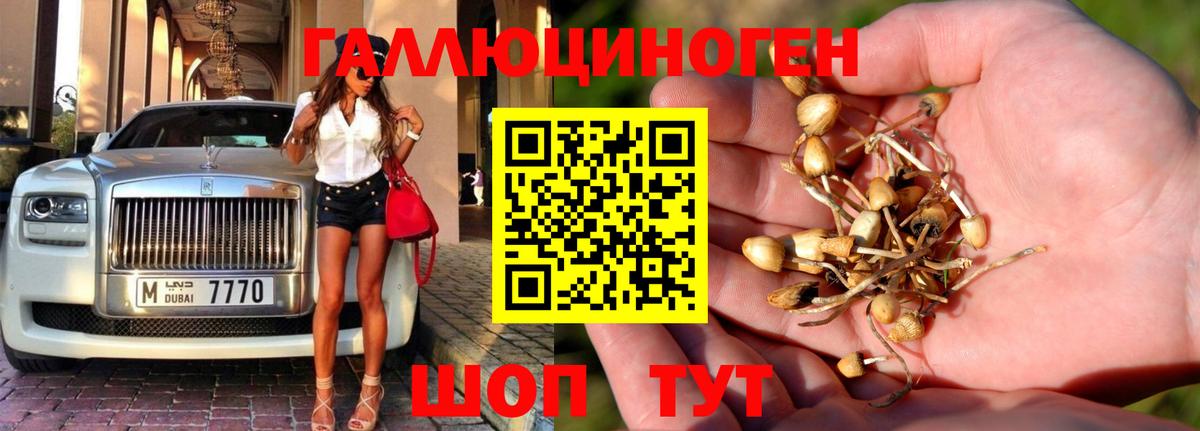 Псилоцибиновые грибы прущие грибы Ивантеевка